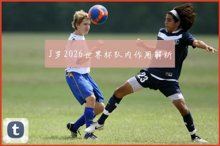 J罗2026世界杯队内作用解析